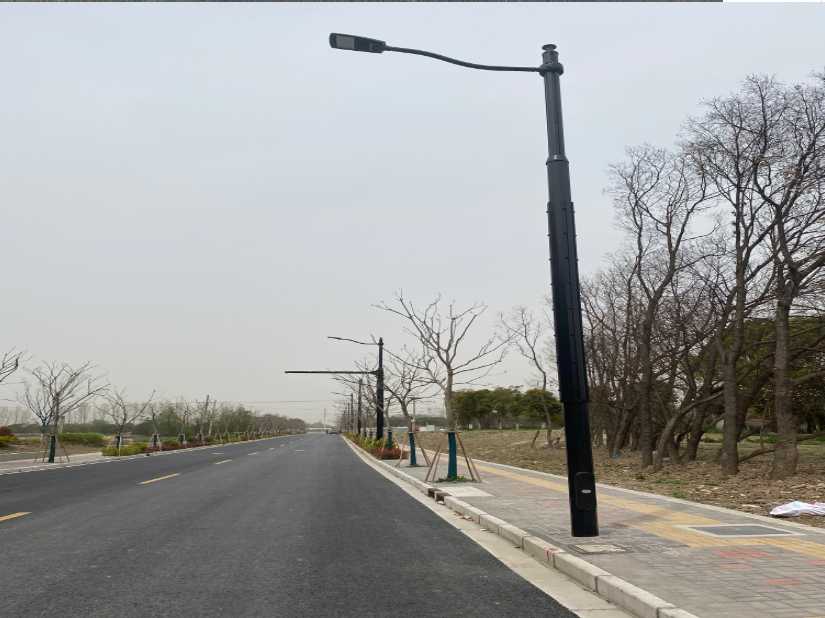 利通区上海综合杆 太阳能路灯工程